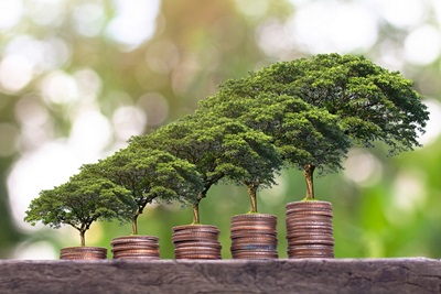 Nuovo Green Bond UE